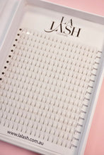 Load image into Gallery viewer, 5D Premade Luxurious Volume Fans 0.05 XL tray